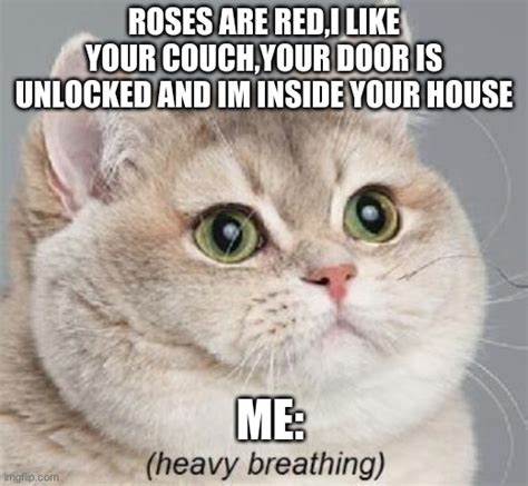 sislovee|You Should Have Locked Your Door .